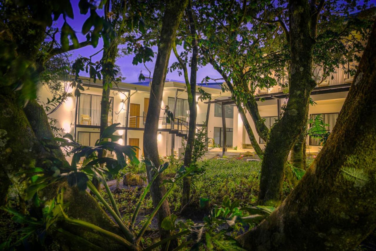 Ocotea Boutique Hotel Monteverde Ngoại thất bức ảnh