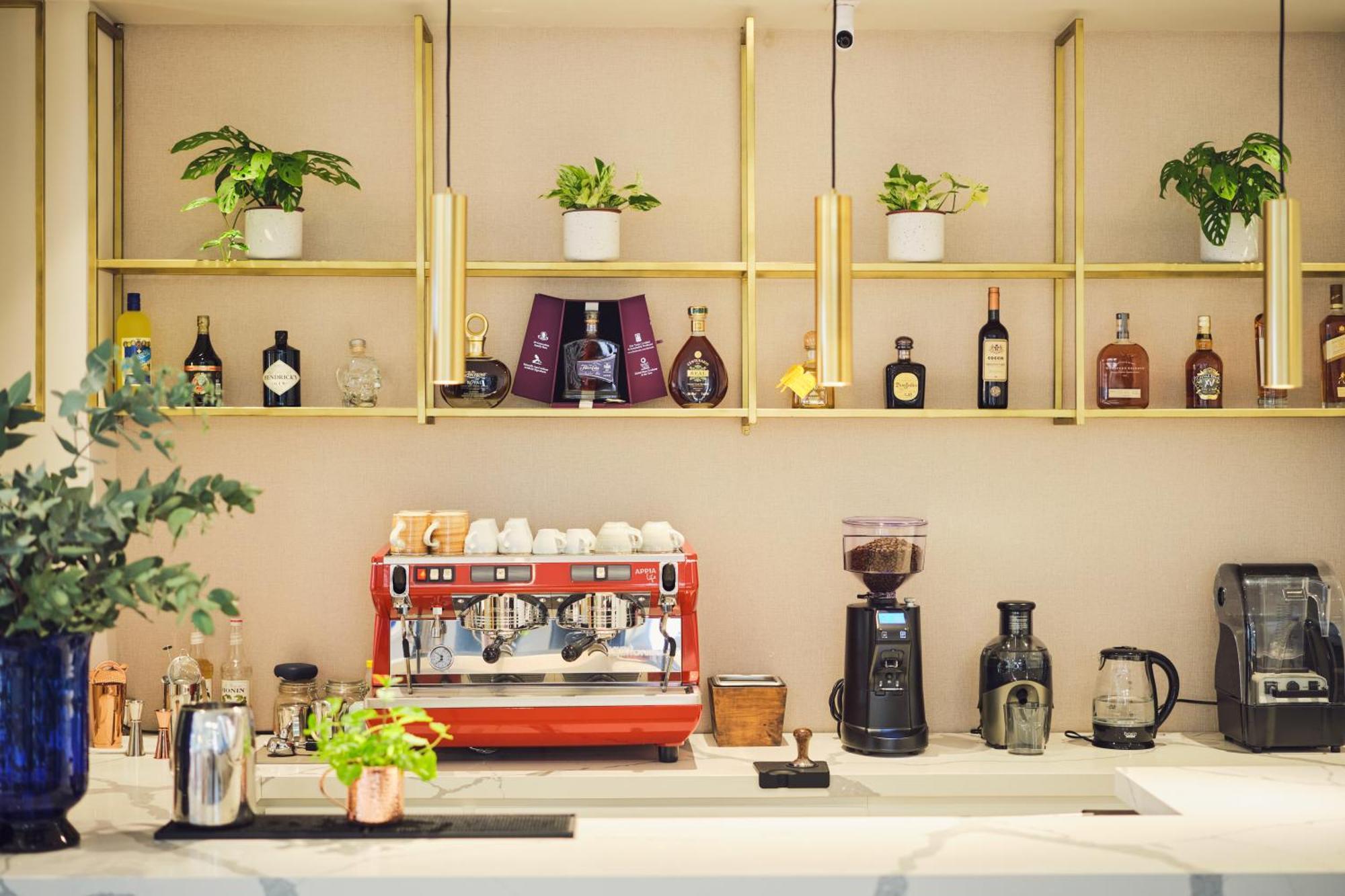 Ocotea Boutique Hotel Monteverde Ngoại thất bức ảnh